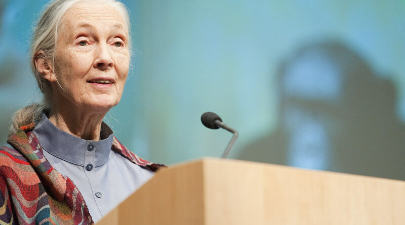 jane goodall