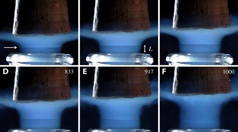 🍾 Le débouchage d'une bouteille de champagne vu avec précision