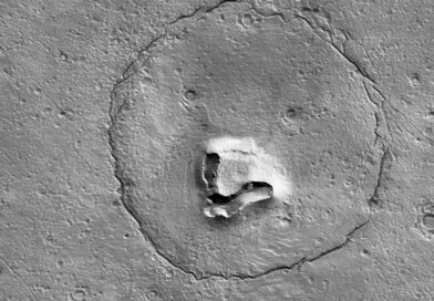 Un ours sur Mars ?