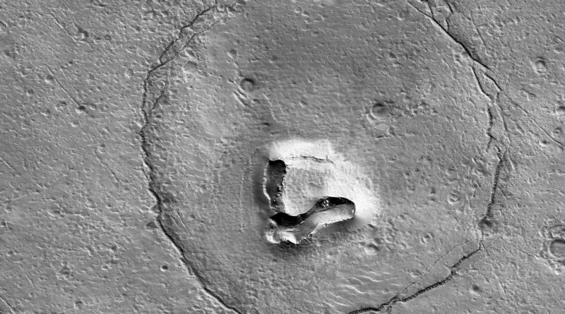 Un ours sur Mars ?