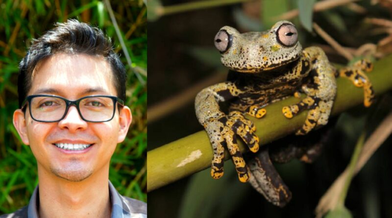 Le chercheur Diego Cisneros-Heredia qui a découvert cette grenouille étonnante