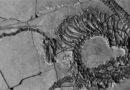 Un fossile de “dragon chinois” vieux de 240 millions d’années découvert par des chercheurs
