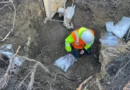 Une trentaine de squelettes découverts dans le jardin d’un hôtel