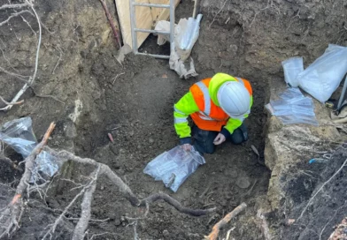 Une trentaine de squelettes découverts dans le jardin d’un hôtel